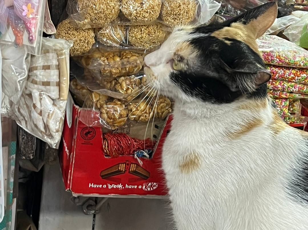 Margao Market-马尔加奥必去景点