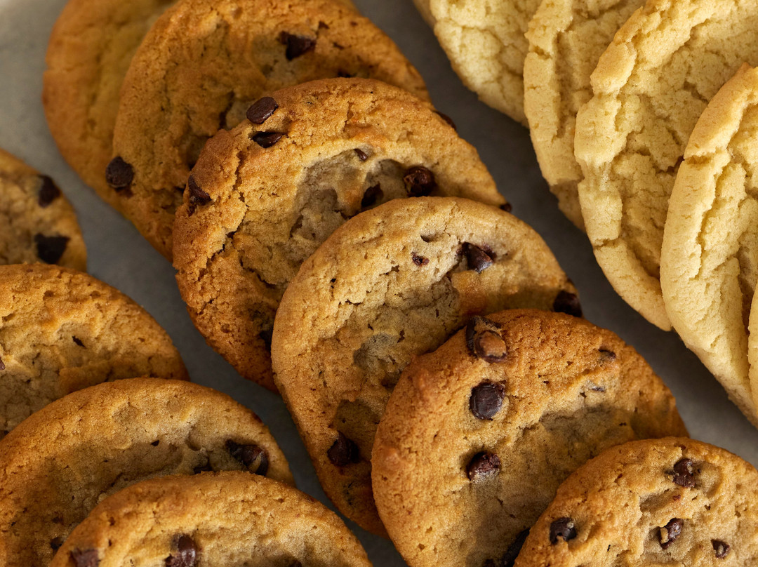 Garner Hotel Evansville East by IHG