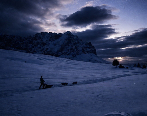 Huskysleddog-San Martino in Badia必去景点