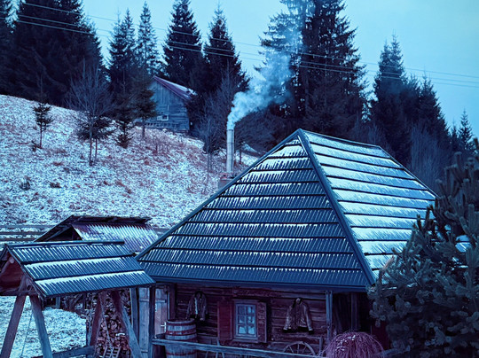 Satul Bucovinean主图