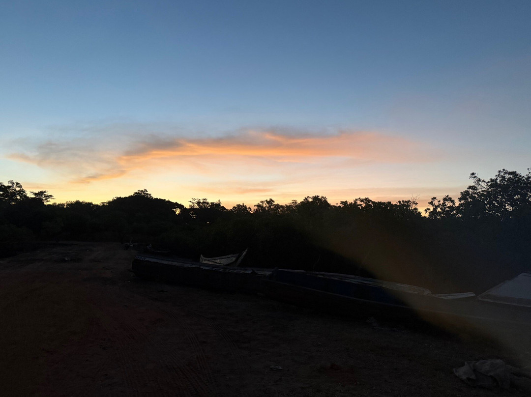 Turaco Birdwatching and Expedition Tours-Bijilo必去景点