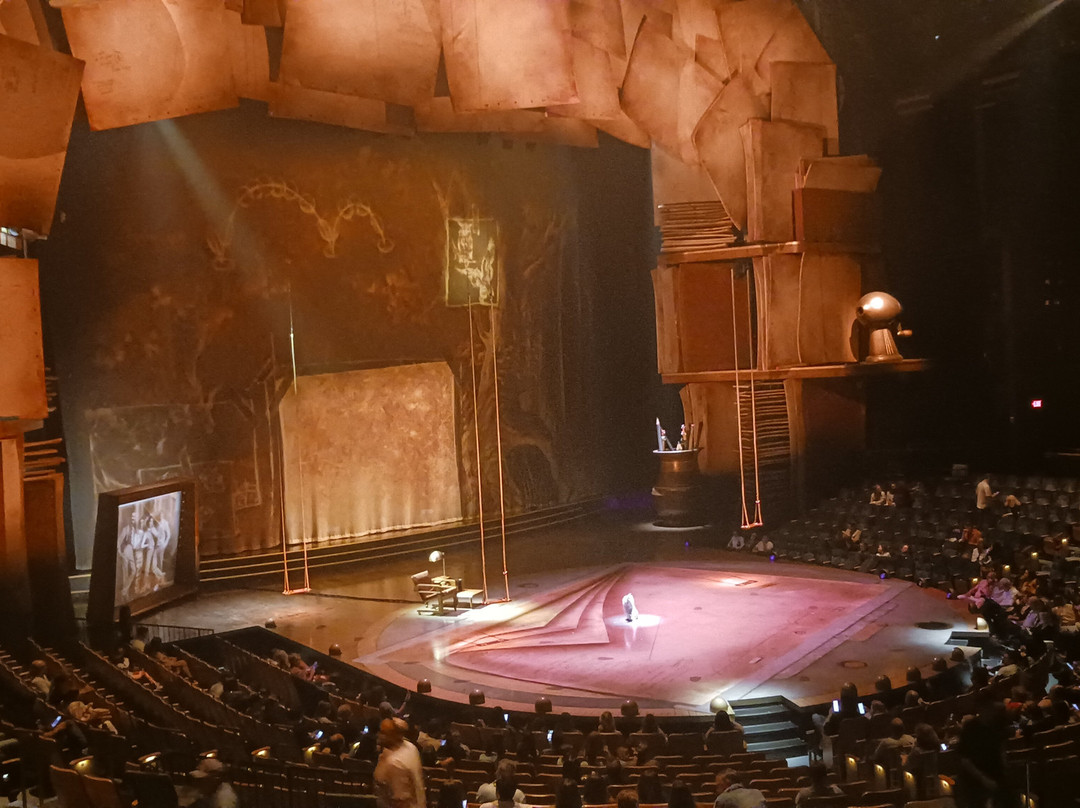 Drawn to Life by Cirque du Soleil-奥兰多必去景点