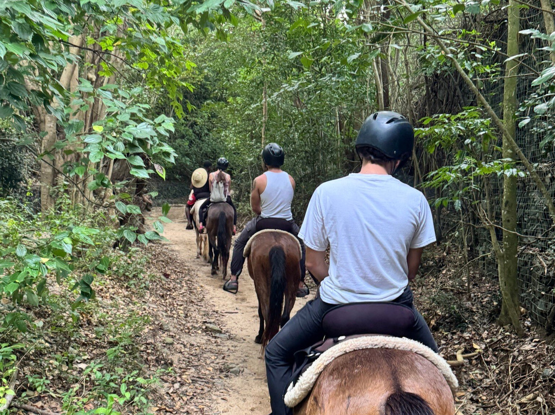 Sailh's Paradise Horse Riding-Vieques必去景点