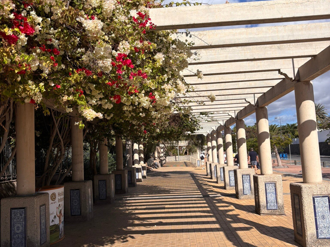 Boulevard El Faro-Meloneras必去景点