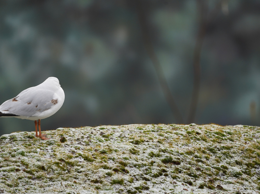 Afrykarium-弗罗茨瓦夫必去景点