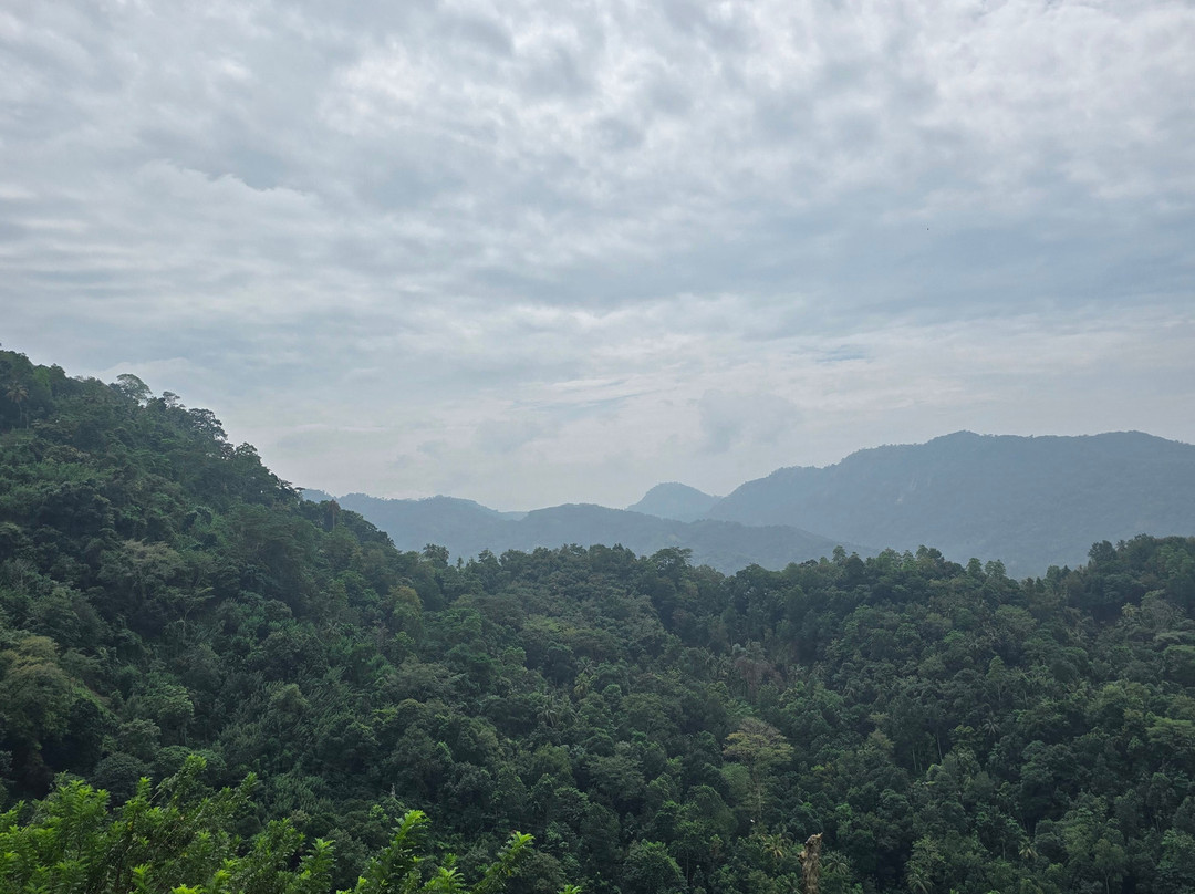 Lux Tours Lanka-康提必去景点