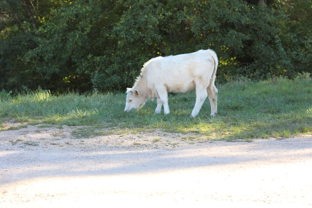 Mairie de Bissey-sous-Cruchaud-Bissey-sous-Cruchaud必去景点