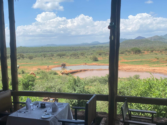 Kenya Experience Jonny Stecchino-瓦塔木必去景点