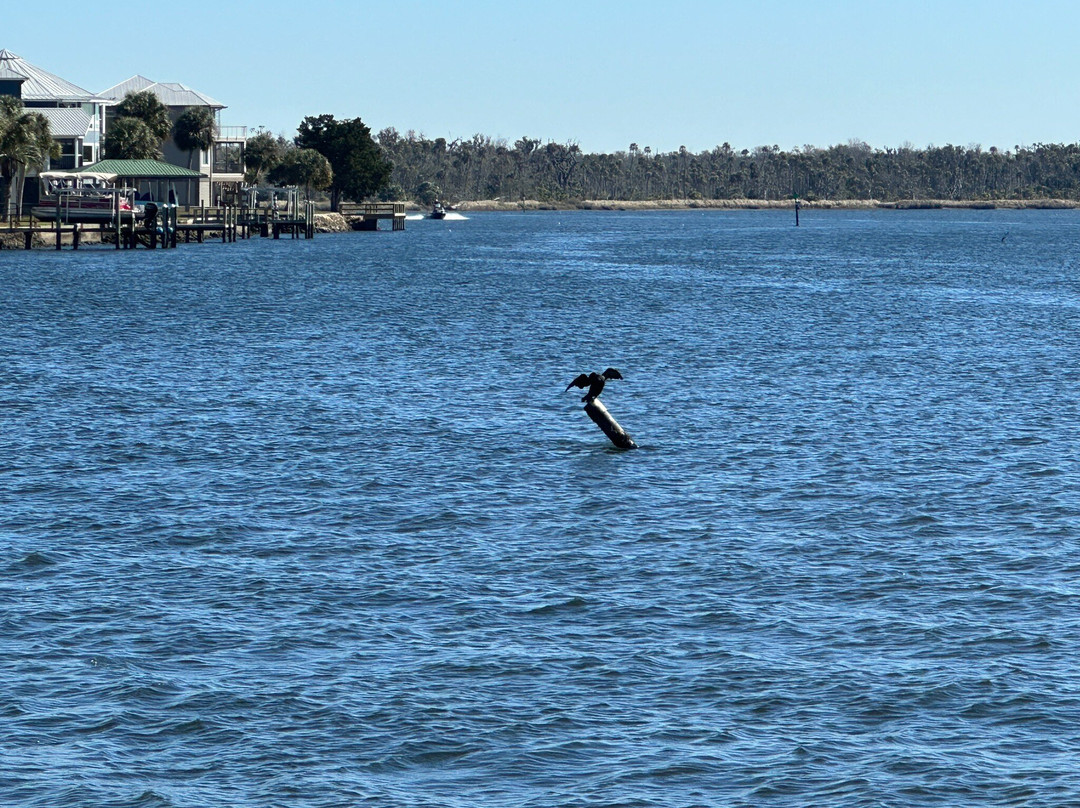 Crystal River Archaeological State Park-克里斯特尔里弗必去景点