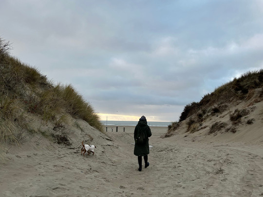 Basecamp IJmuiden主图