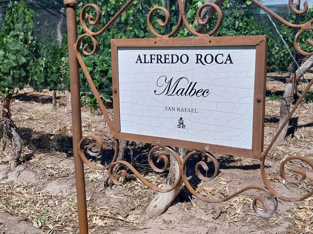 Bodega Alfredo Roca-圣拉斐尔必去景点