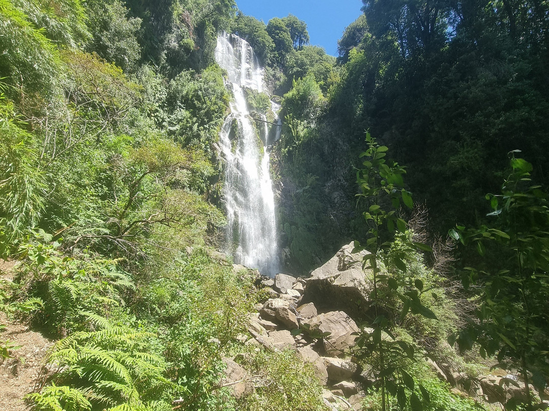 Reserva Biologica Juan Millanao-Panguipulli必去景点