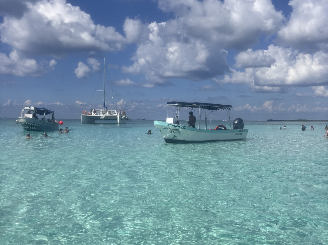 Agence D'excursion en Français Electric Bike Rental-普拉亚德尔卡曼必去景点