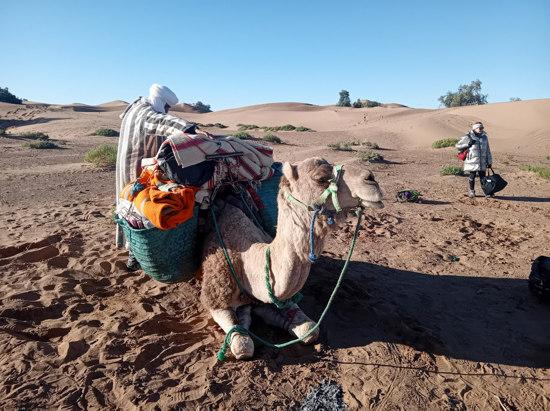 Au pays du Sahara-迈哈米德必去景点