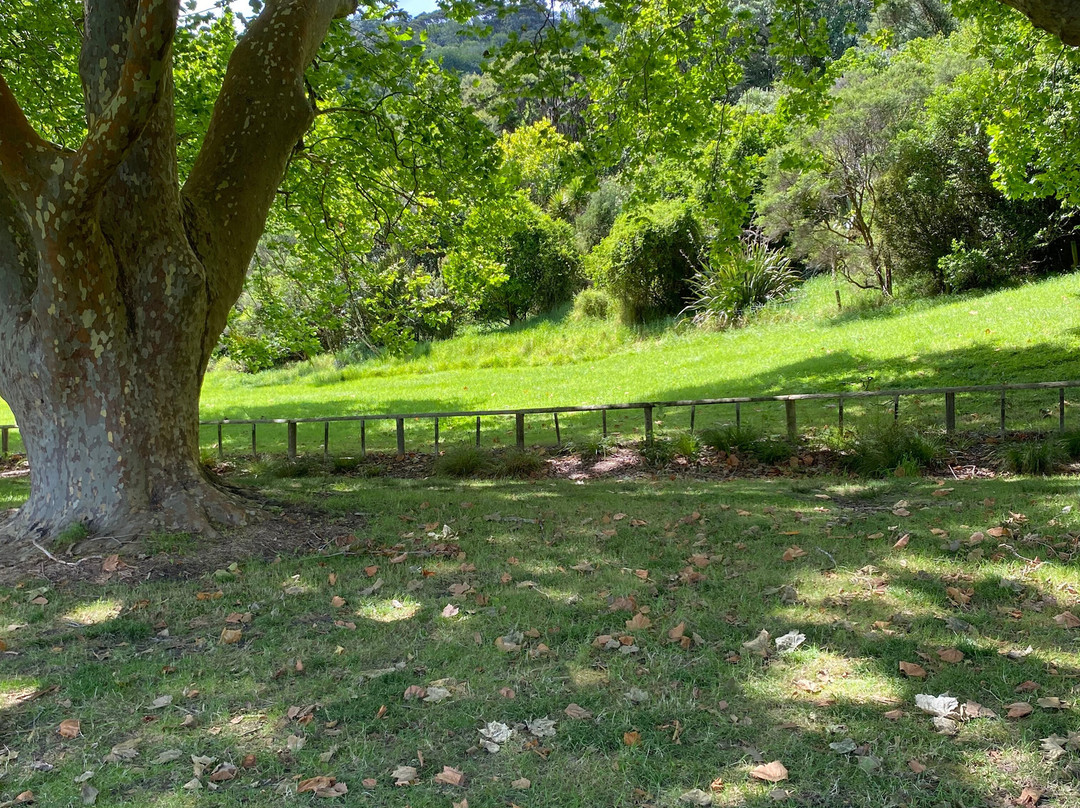 Wenderholm Regional Park-怀韦拉必去景点