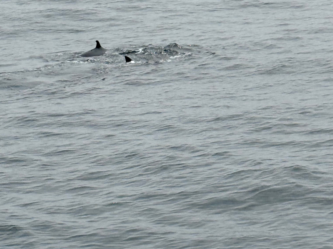 Nathalia Cruise-美蕊沙必去景点