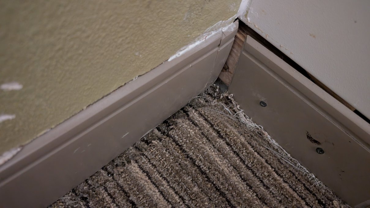 来柯维智选假日酒店-客卧