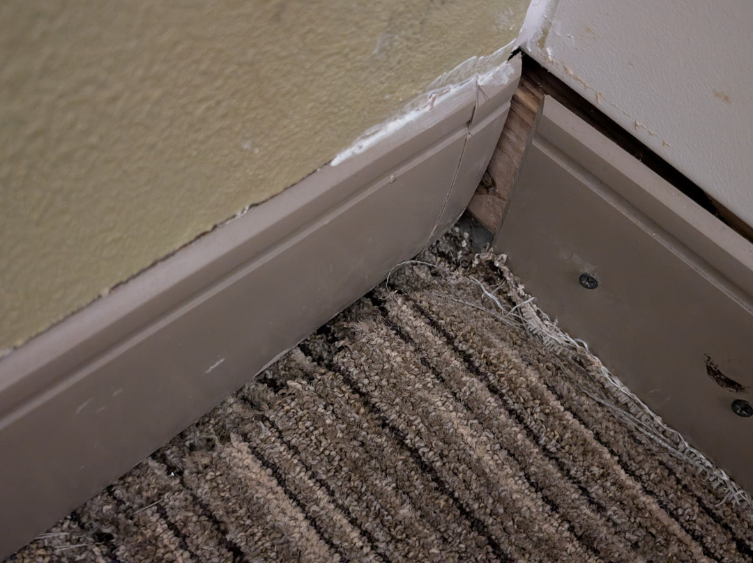 来柯维智选假日酒店主图