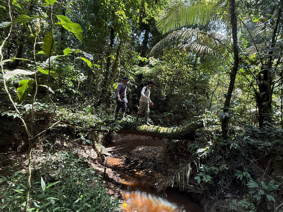 Henry Eco Tours-Coca必去景点