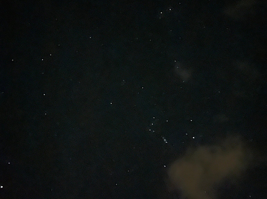 Cayman Kayaks-Rum Point必去景点