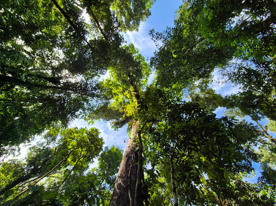 Costa Rica Wild Expeditions-希门尼斯港必去景点