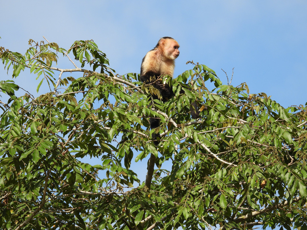 Cano Negro Experience-Cano Negro必去景点