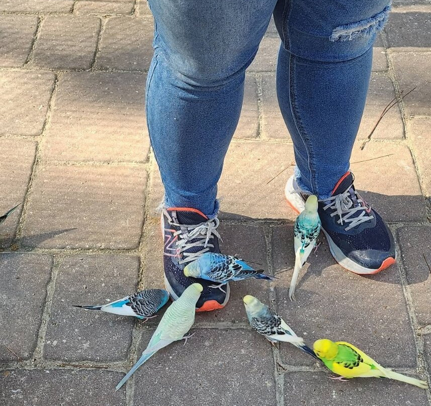 Zoo World Zoological Park-巴拿马城海滩必去景点