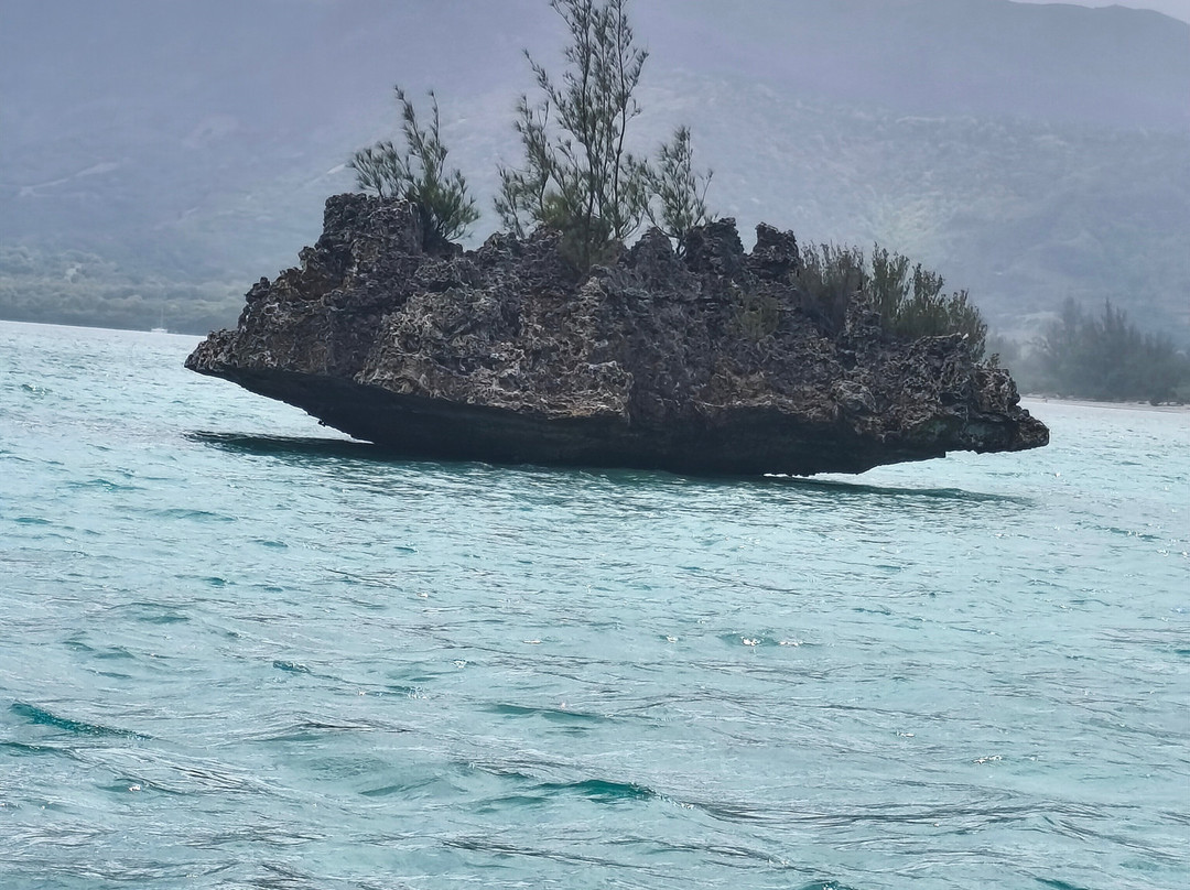 Blackriver Charters-Black River必去景点