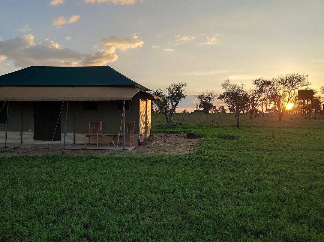 OSOTUA TENTED CAMPS-Ikoma必去景点