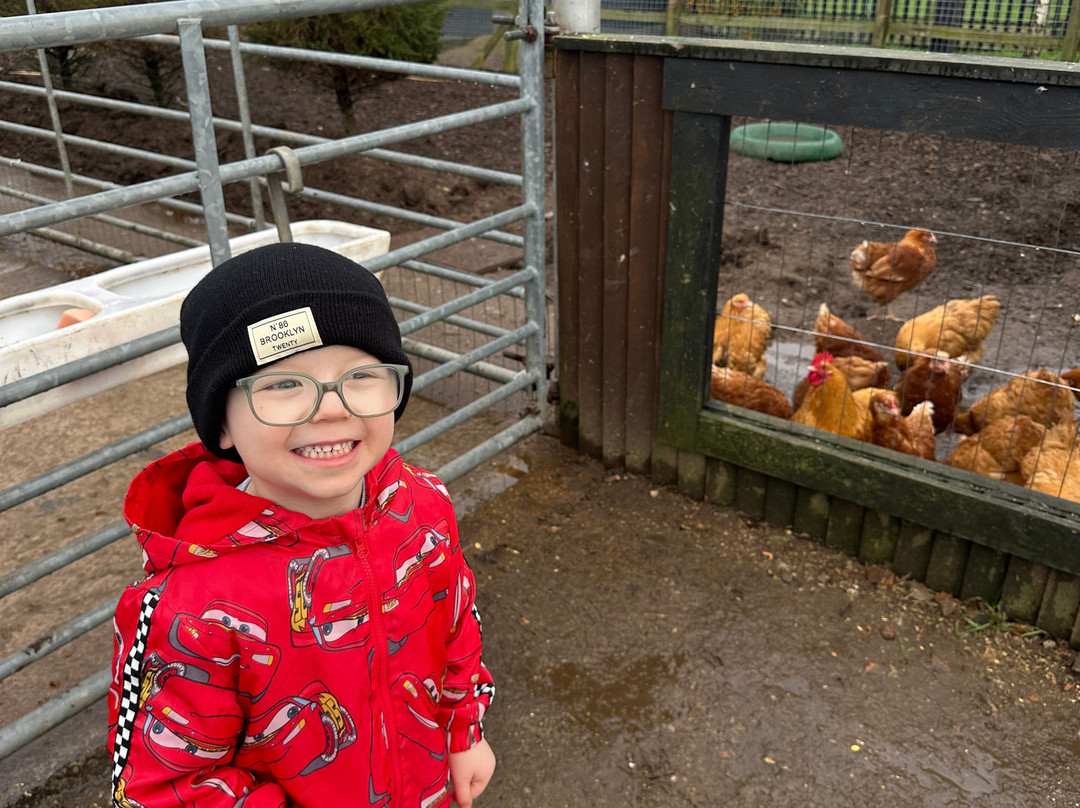 Willow Tree Family Farm-Shirebrook必去景点