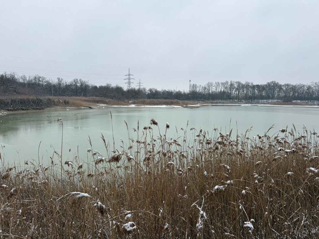 Szeged Zoo-塞格德必去景点