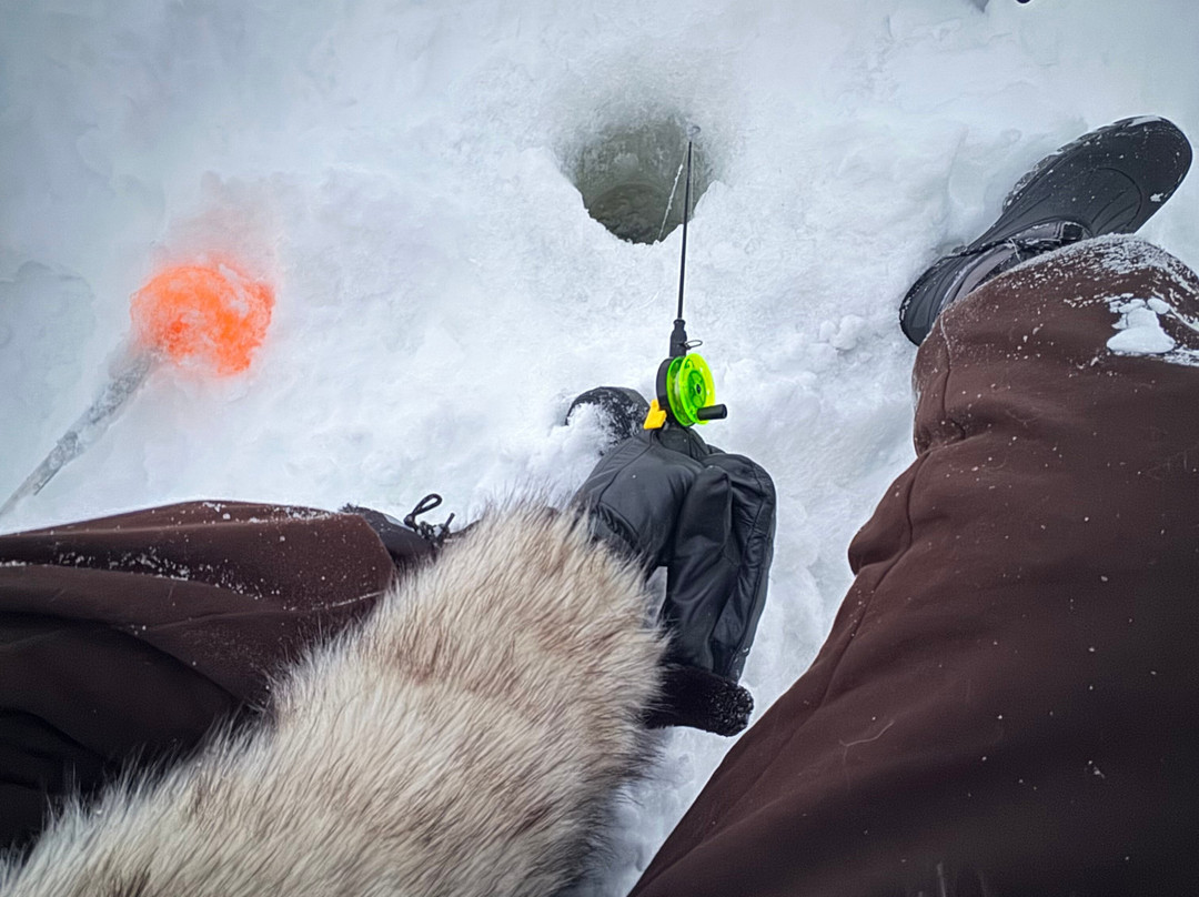 Juki Tours-Levi必去景点