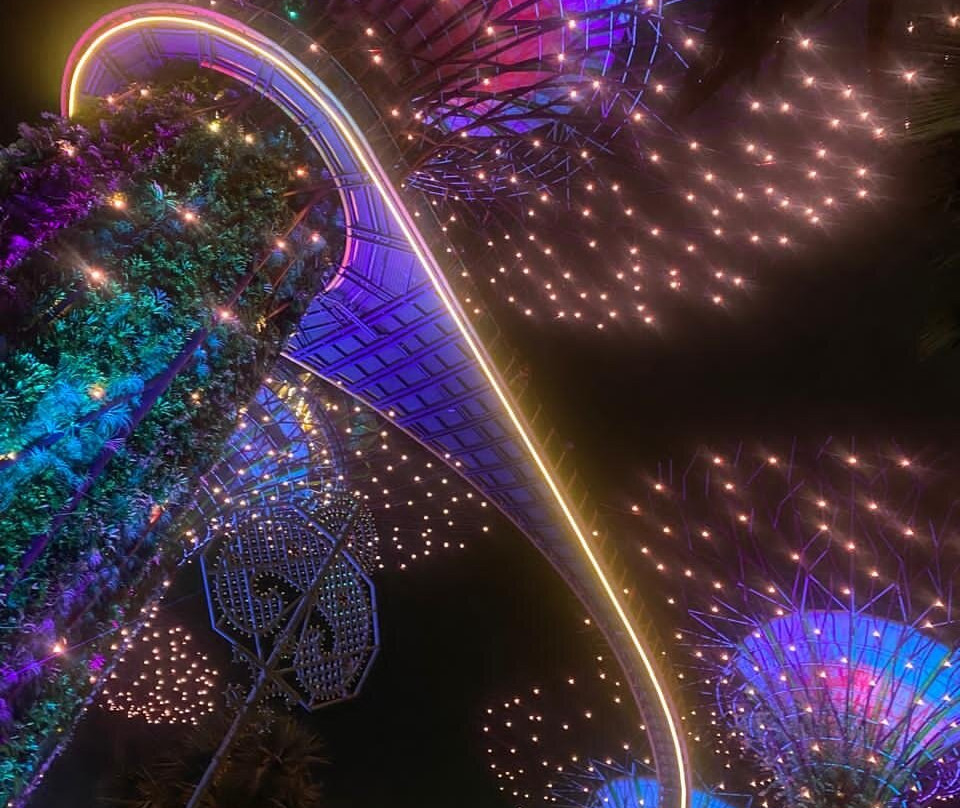 擎天树丛-新加坡必去景点