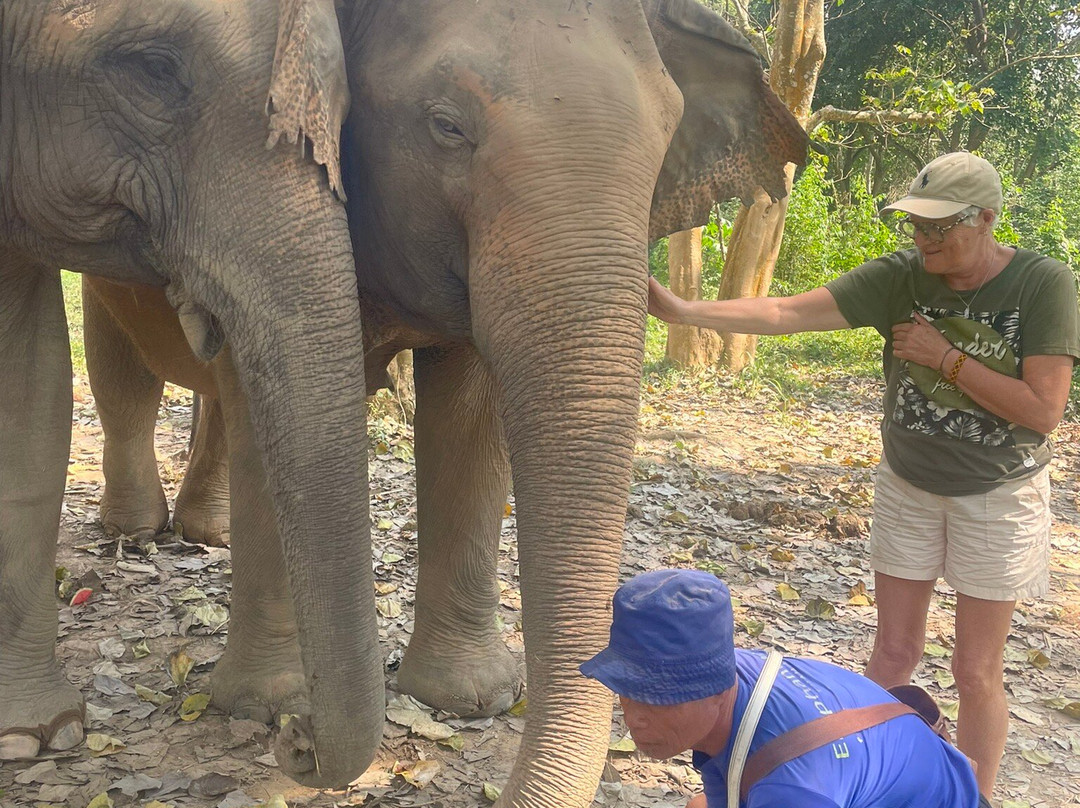 Elephant Haven-柿约必去景点