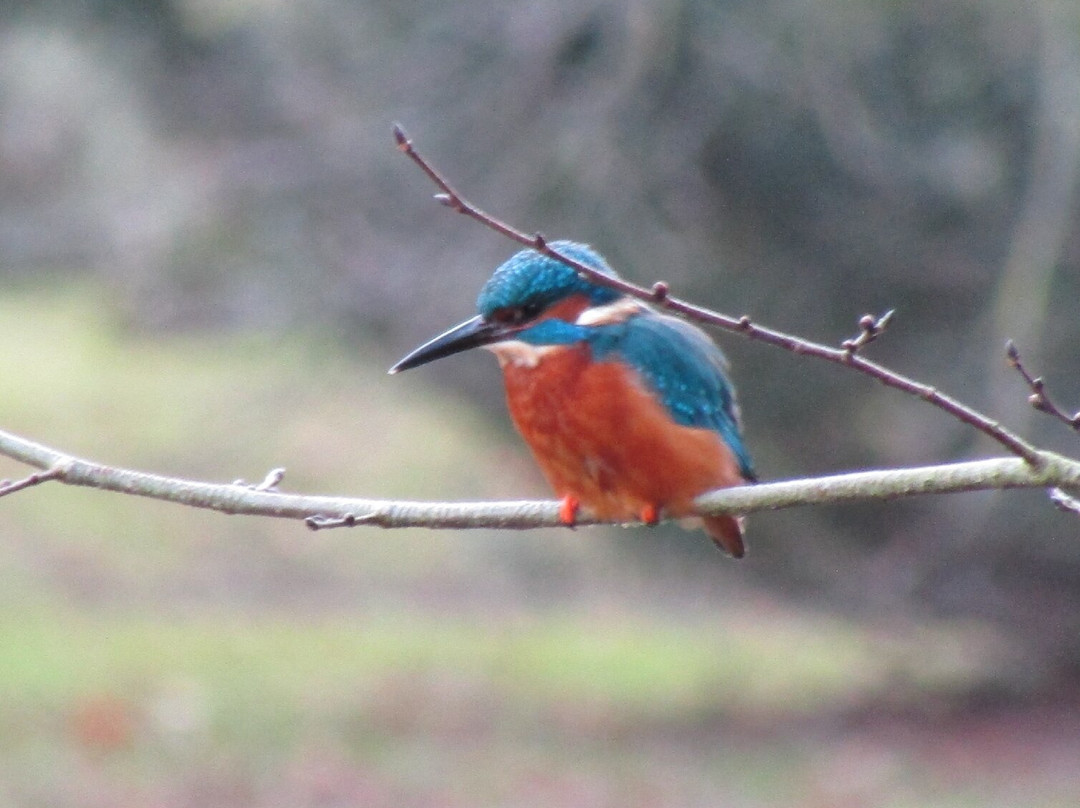 安格尔西修道院-Lode必去景点