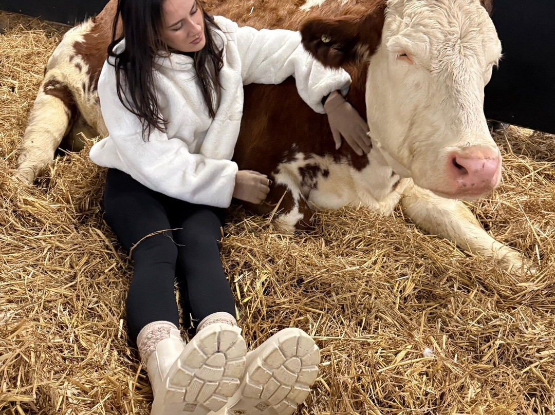Dumble Farm-比弗利必去景点