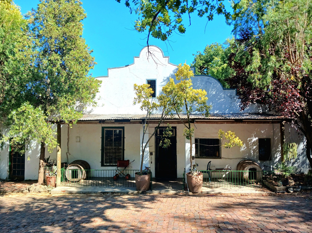 Upland Organic Wine-惠灵顿必去景点