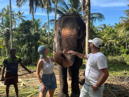 Bentota Lucky Tours & Travels-班托塔必去景点