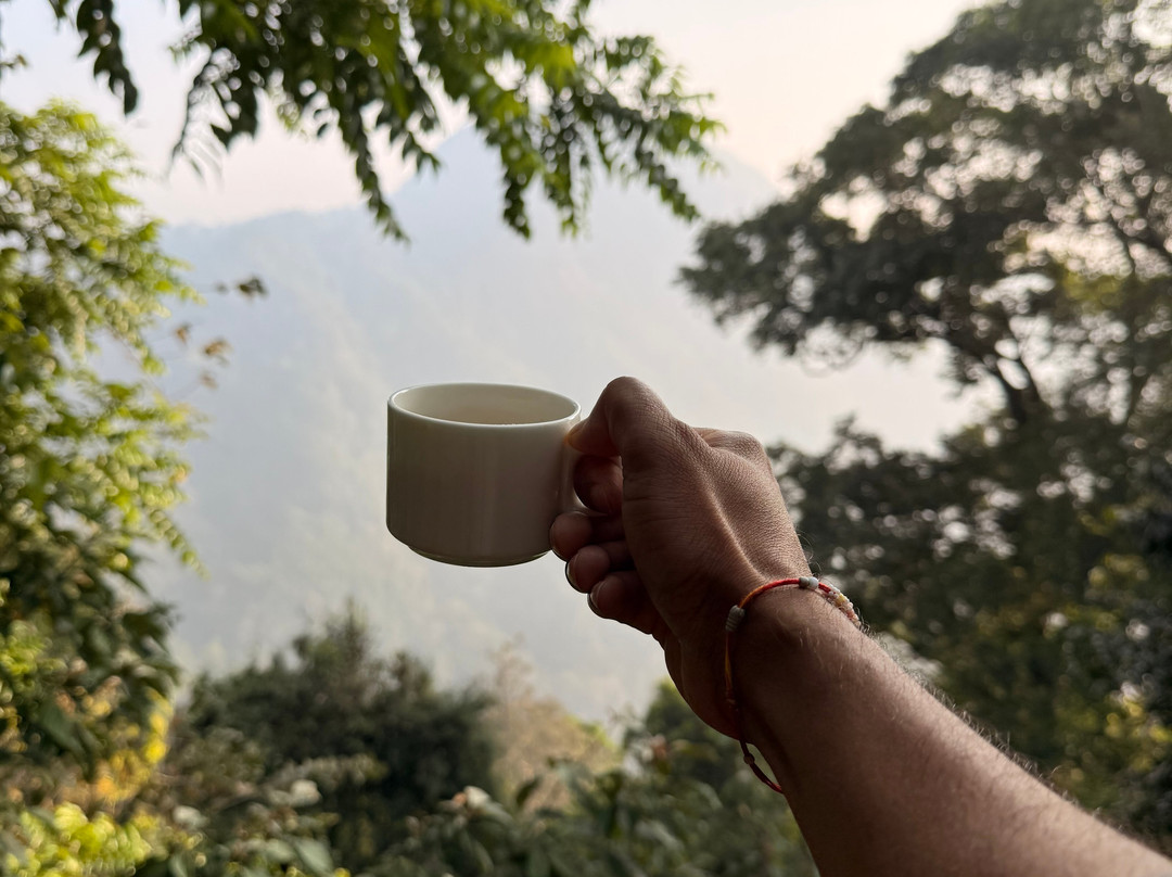 Chembarathi Wayanad主图