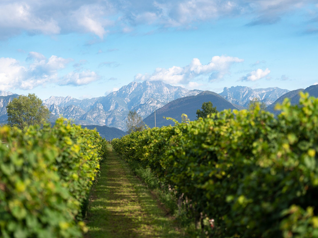 Fantinel-Spilimbergo必去景点