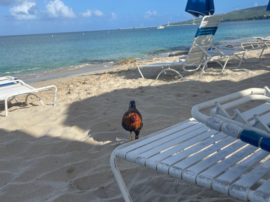 Sand Castle On The Beach主图