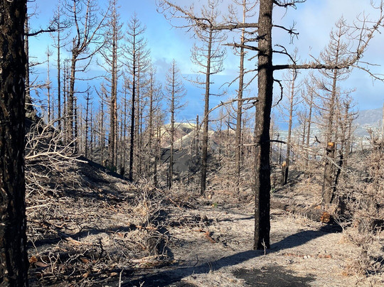 La Palma Outdoor-La Palma必去景点