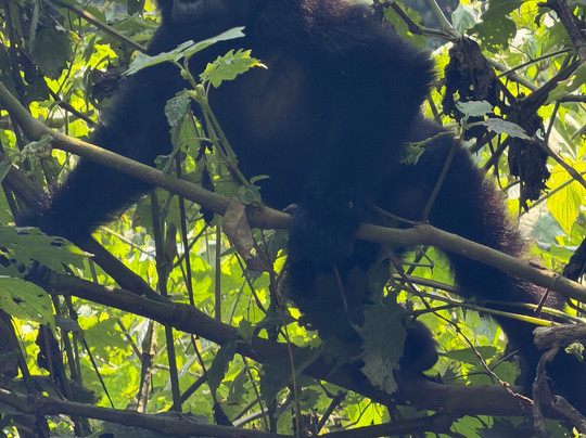 Mamaland Safaris-坎帕拉必去景点