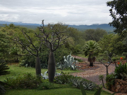 马鲁拉小屋宾客旅舍主图