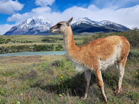 Far South Expeditions-蓬塔阿雷纳斯必去景点