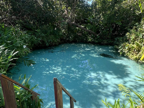 Jalapão Infinity-Palmas必去景点