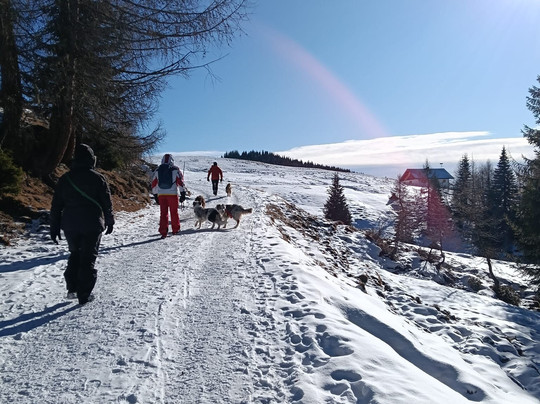 Hotel Kreuzberg Monte Croce主图