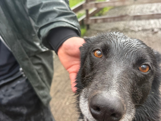 Killary Sheep Farm-Leenane必去景点