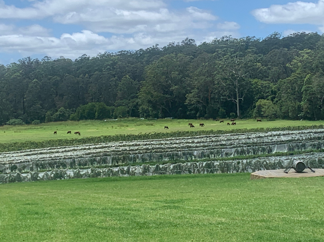 Bago Maze & Wine-Wauchope必去景点