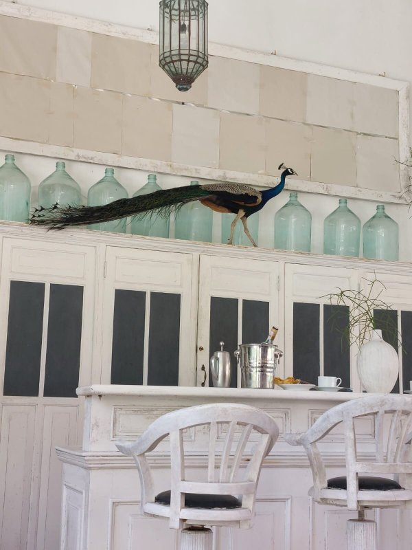 罗望子山酒店-官方